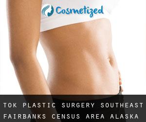 Tok plastic surgery (Southeast Fairbanks Census Area, Alaska)