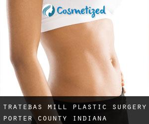 Tratebas Mill plastic surgery (Porter County, Indiana)
