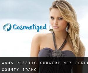 Waha plastic surgery (Nez Perce County, Idaho)