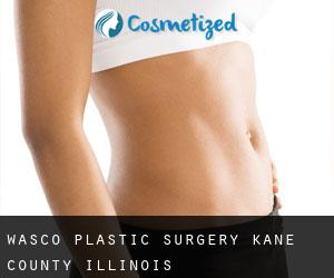 Wasco plastic surgery (Kane County, Illinois)