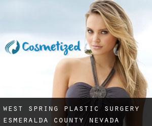 West Spring plastic surgery (Esmeralda County, Nevada)