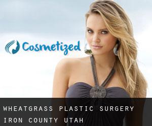 Wheatgrass plastic surgery (Iron County, Utah)